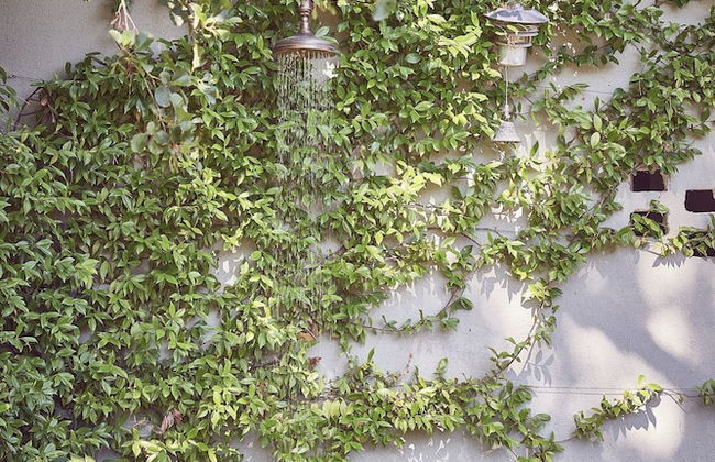 AQVAE Unconventional Country House - Foto 41