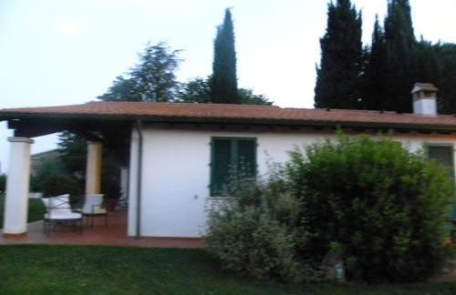 Ghiaccio Bosco - Foto 72