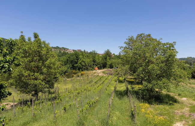 Agriturismo Locanda Nina - Foto 25