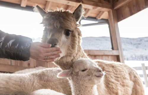 Aparthotel Familiaris - Family Apartments - Pools & Spa in Dolomites - Foto 20