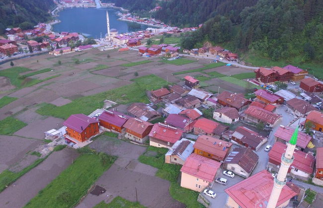 Zeren Apart - Photo 11