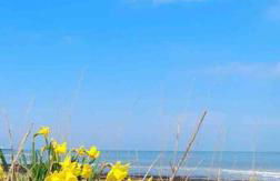 Herne Bay Central - 2 minutes from beach apartment - Foto 35