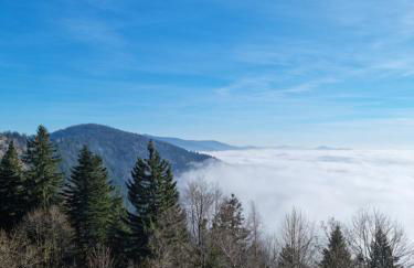 Ferienhaus Ritzmais - Foto 36