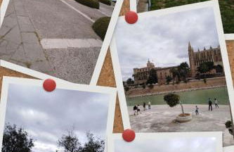 City Haven Palma - Foto 1