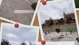 City Haven Palma - Foto 1