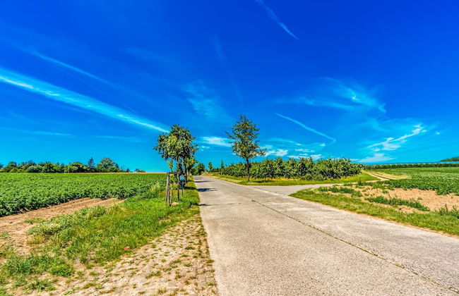 Villa in Former School - Foto 56