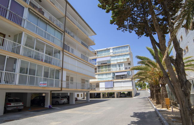 Santa Cruz - Foto 12