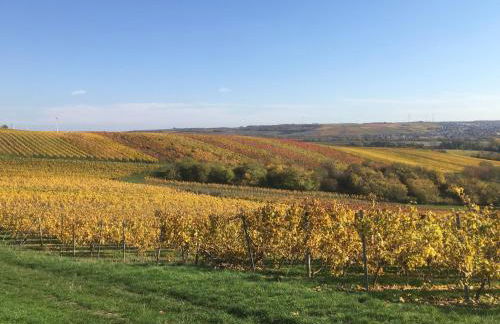 Rheinhessen Apartment - Foto 15