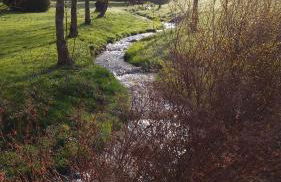 Grünes Ferienhaus - Foto 39