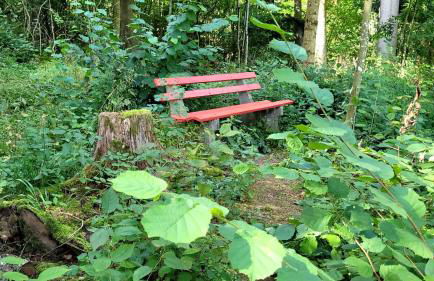 Bienenhaus - Photo 20