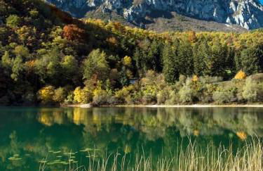 Villa Villi - Foto 39