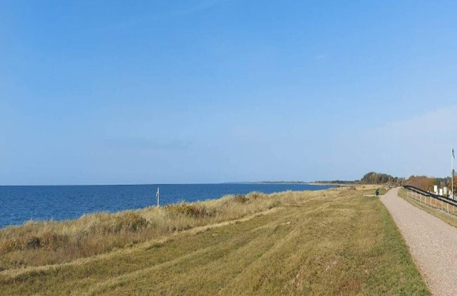 6 Person Holiday Home in Kolind - Photo 45