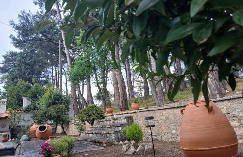 Melody cottage, Samos - Foto 26