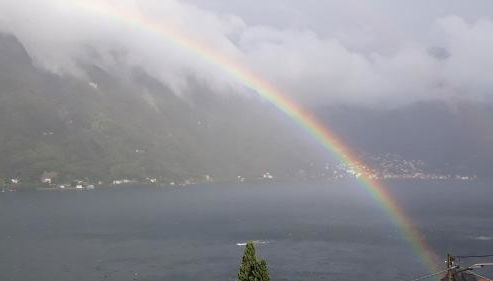 Gli Ulivi di Nesso - Foto 5