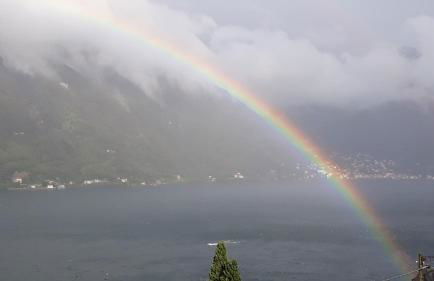 Gli Ulivi di Nesso - Foto 5