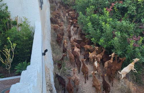 Romantic white Villa -private pool - Foto 55