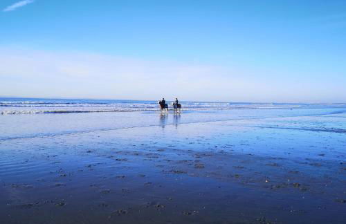 Hightide - Bracklesham Bay - Foto 40