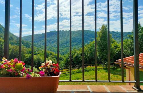 Villa con Piscina 10 Posti Letto, L'Oliveta Di Rivalto - Foto 13