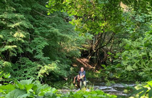 Haus Bodetal - Foto 19