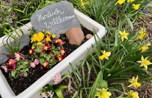 Ferienweingut Matthias Löwen - Foto 7