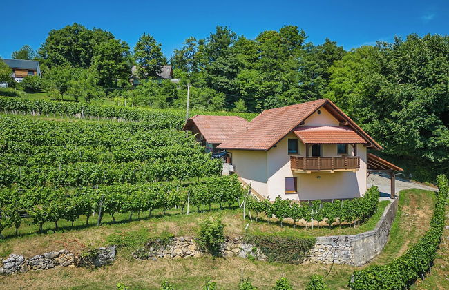 Vineyard Cottage Ucman - Foto 16