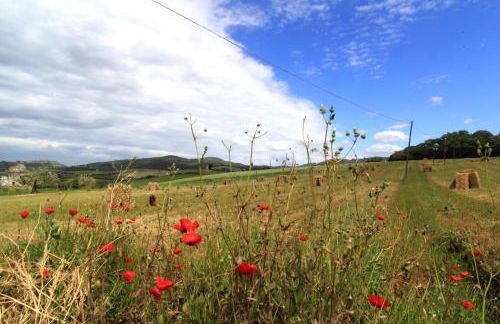 Villa Barbara - Foto 64