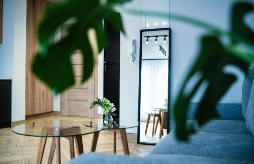 Apartamenty I SORAU Old Town - Foto 49