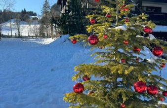 Ferienwohnung Alpenglück - Foto 35