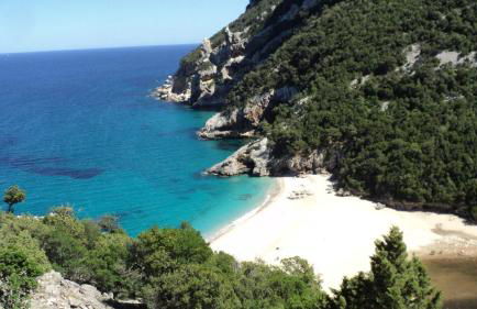 White Rose Suite Apartment - Foto 27