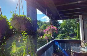 Maries bunte Villa - Foto 15