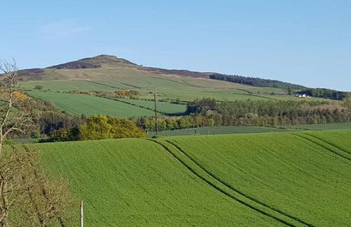 Herb Wood Cottage - Foto 43