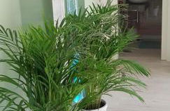 Suite MARA & Suite TEA - Foto 8