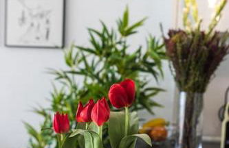 Apartamento con vistas al mar primera linea de playa del Postiguet - Photo 16