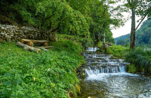 Tree Elements treehouse retreat - Foto 25