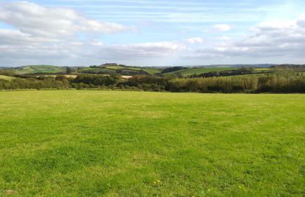 Shepherd's Lodge - Shepherd's Hut with Devon Views for up to Two People and One Smaller Dog - Foto 3