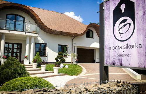 Modra Sikorka - Foto 34