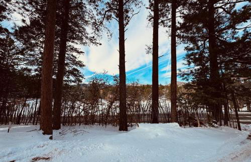 The Shiloh House - Foto 24