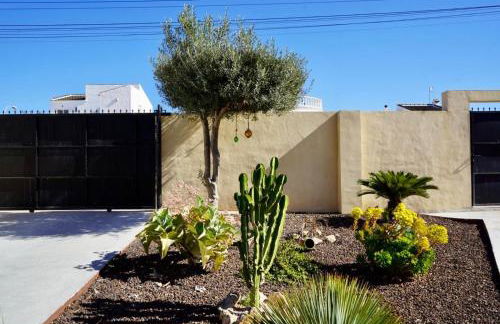 Laguna del Flamenco - Foto 19