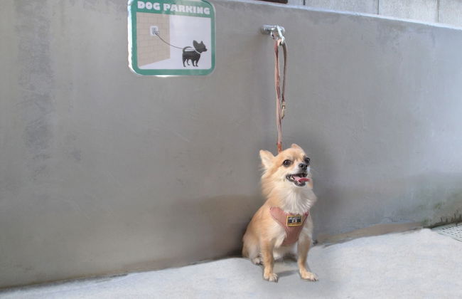 Coral Gate In Kume - Foto 23