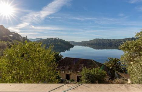 Pansion Mali Raj - Photo 45