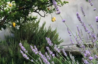 Ferienwohnung Chiara - Foto 24