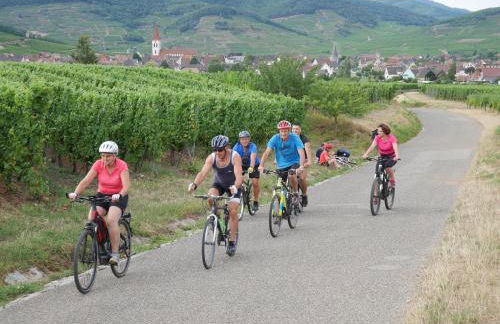gite au coin du feu à 25mn de Colmar au calme avec jardin clos - Foto 26