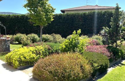 Villino Blu Private Villa on the Chianti Hils 10 Plus 2 pax - Photo 42