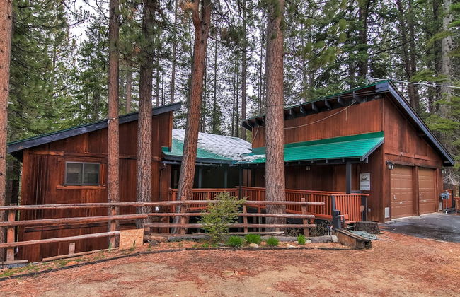 Bear Haus - Fur Babies Welcome! - Foto 31