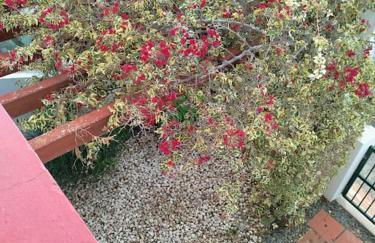 The South Sunny House - A Casa a Sul - Foto 44