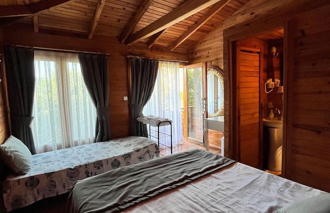 Palmira Selimiye - Foto 8