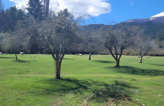 Esaki Farm Near El Bolson - Photo 36