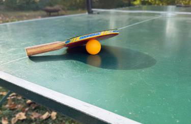 Moderne Wohnungen im Dachgeschoss - Foto 14