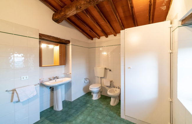 Fattoria di Cintoia - Photo 44