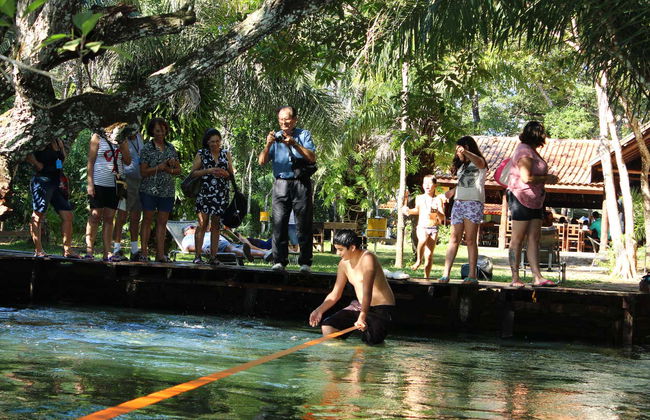 Ingresso do Eco Park Porto da Ilha - Foto 3